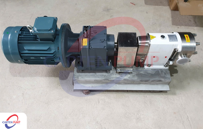 Bơm cánh khế Carten