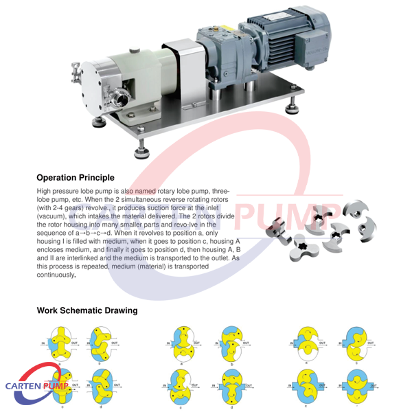 Bơm cánh khế HLP3S