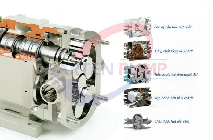Cấu tạo bơm cánh khế
