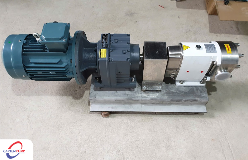 Bơm cánh khế Carten Pumps