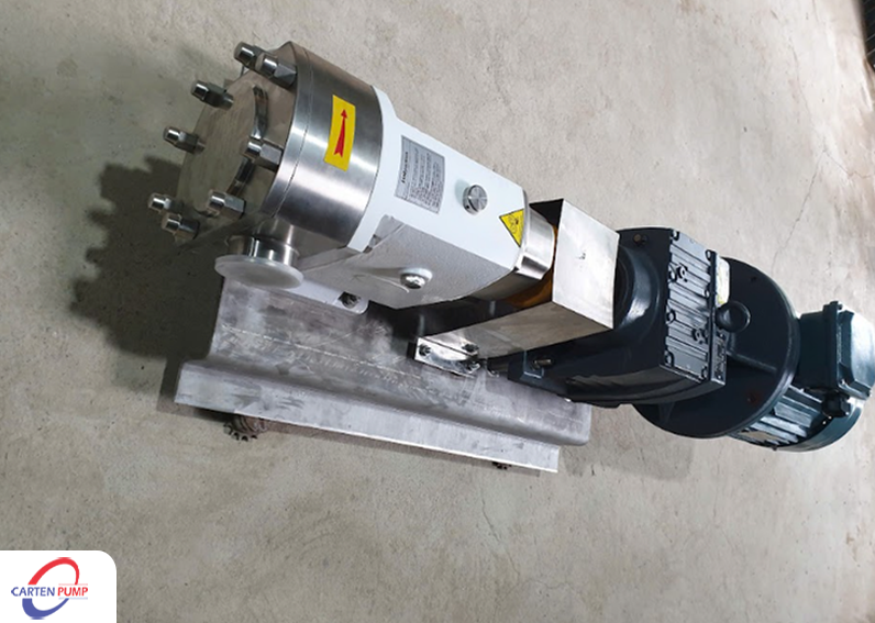 Bơm cánh khế Carten Pumps