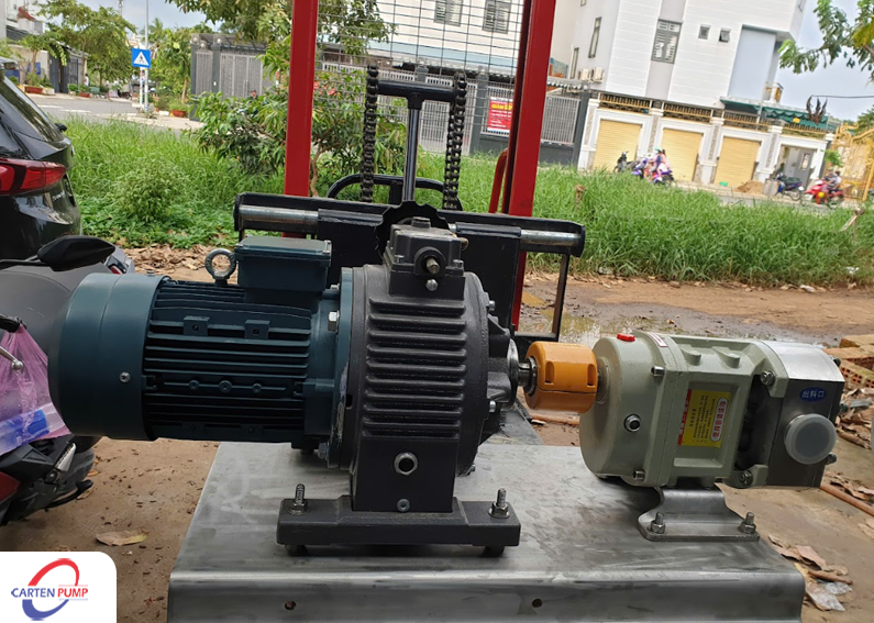 Bơm cánh khế lobe pumps