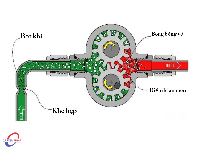 Cơ chế xâm thực