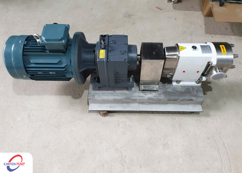 Bơm cánh khế Carten Pumps Vietnam