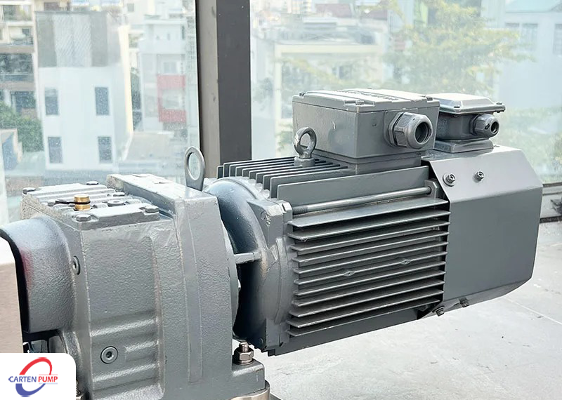 Bơm cánh khế Carten Pumps Vietnam