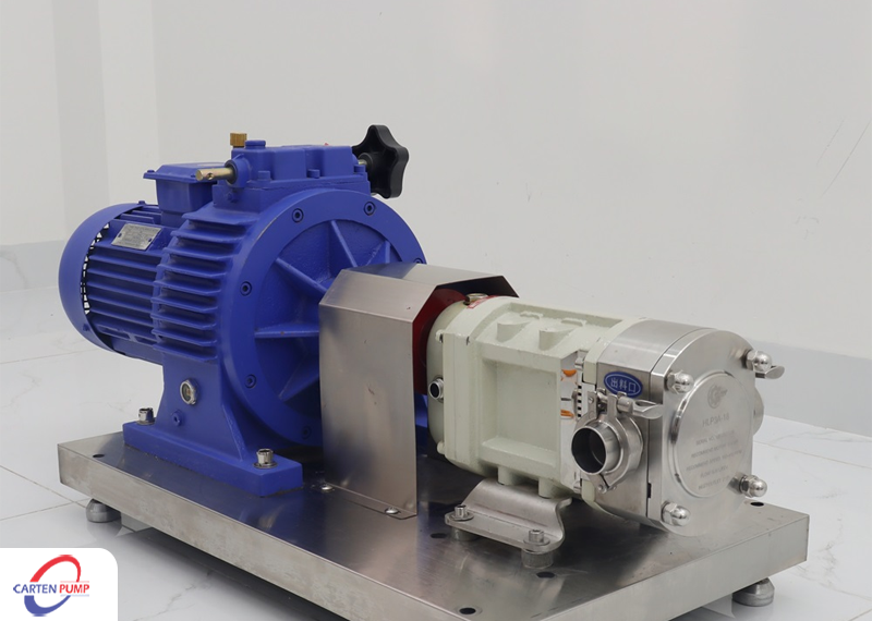 Bơm cánh khế chính hãng Carten Pumps Vietnam