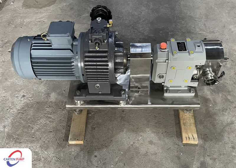 Dịch vụ sửa chữa bơm cánh khế tại Carten Pumps Vietnam