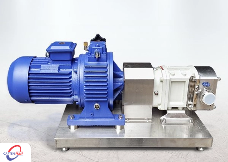 Bơm thực phẩm Carten Pumps Vietnam